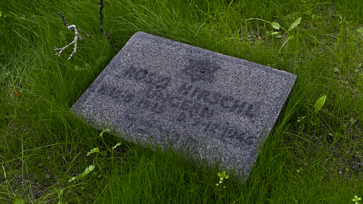 Rozsi Hirschls gravsten, intill gravstenen syns gräs