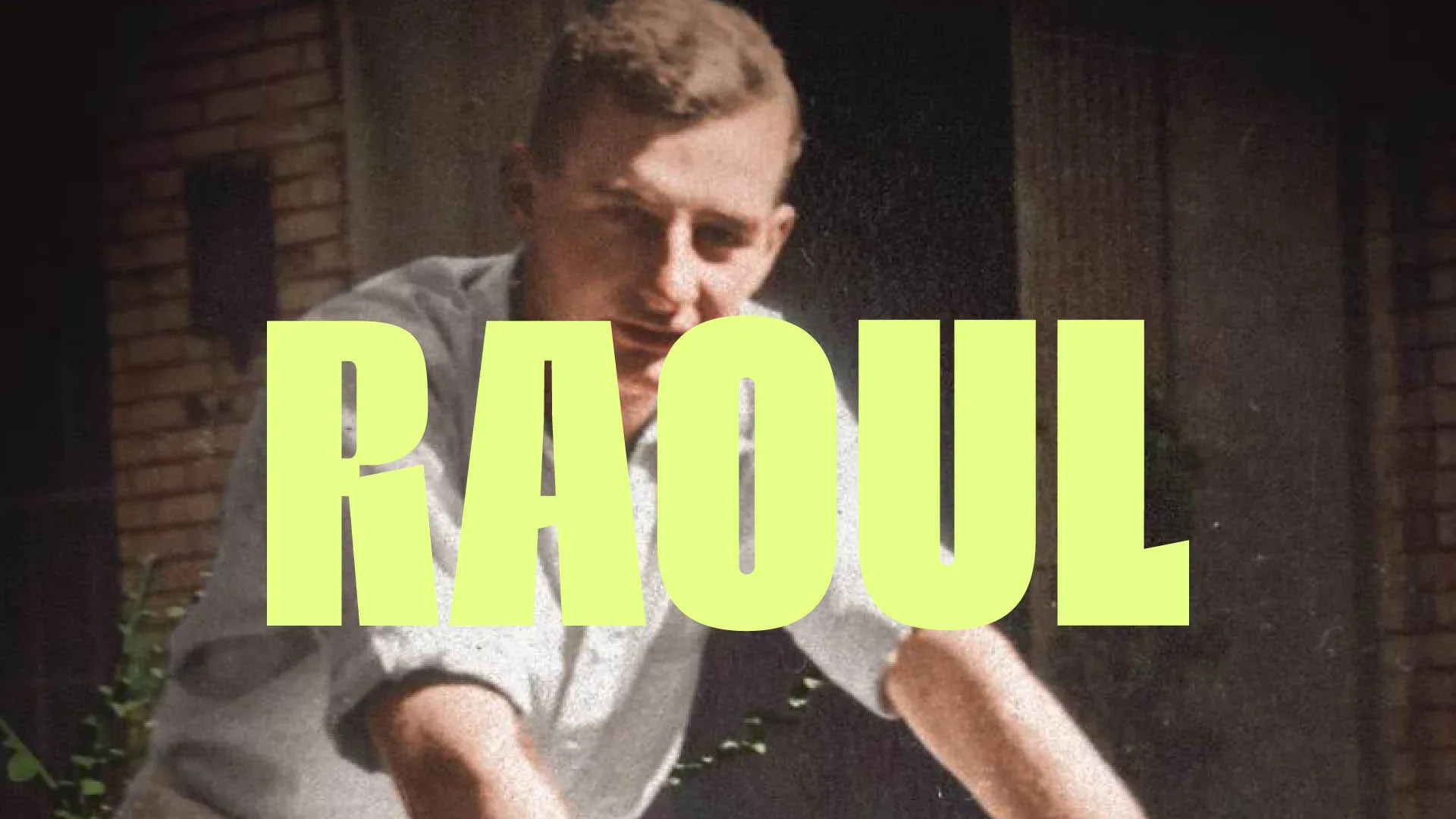 Utställningsbild för Raoul
