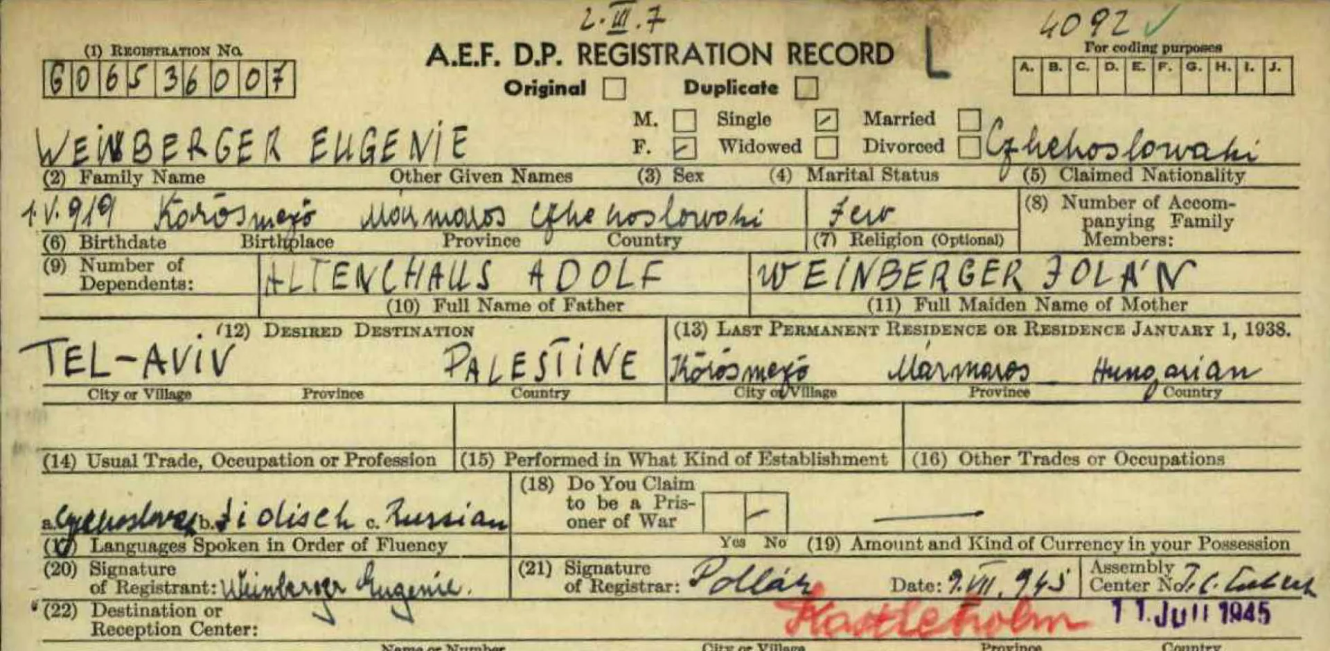 Postwar Registration Card.