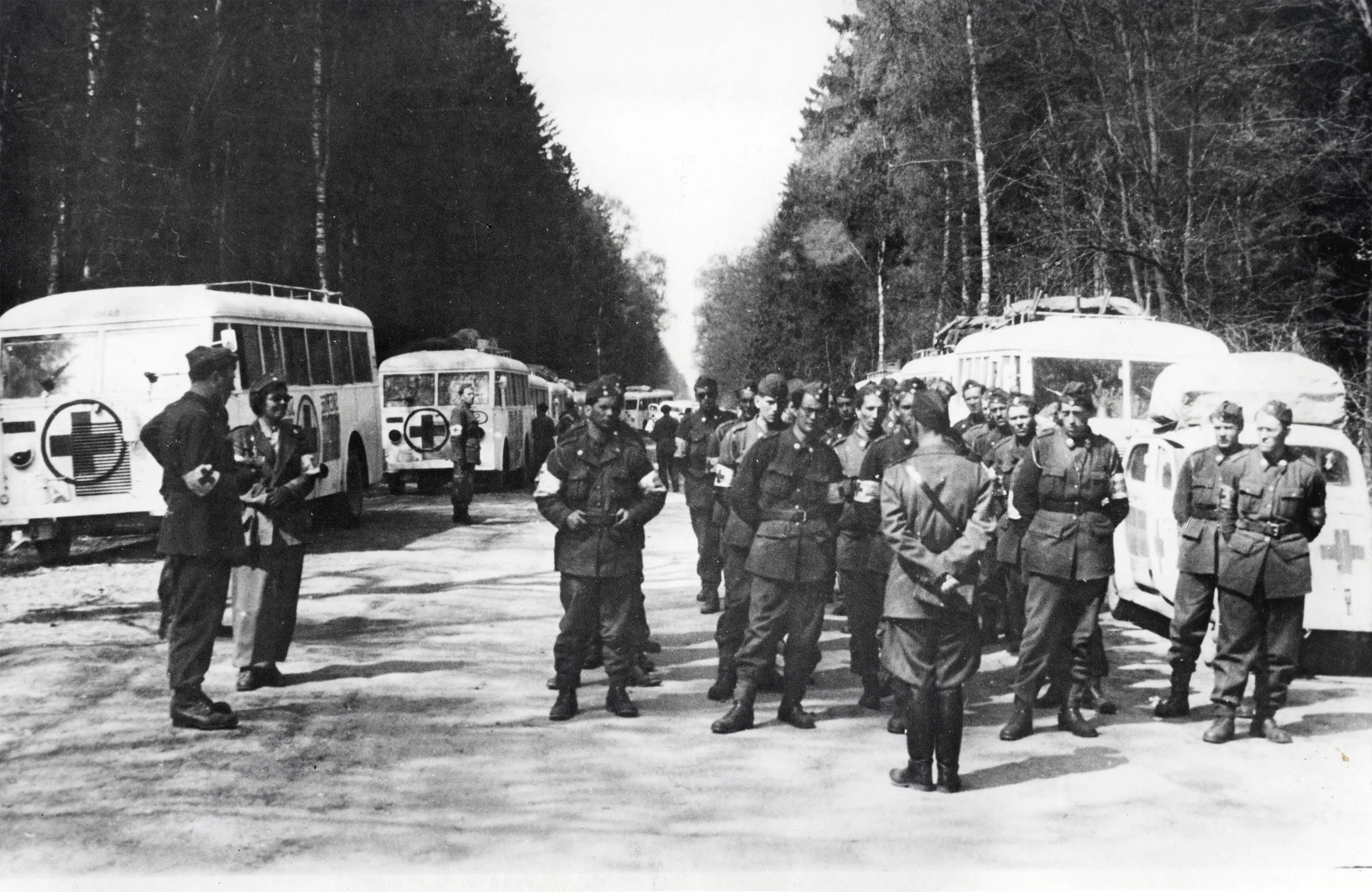 Vita bussarna längs båda sidor av en väg, på vägen står personal från Röda Korset.