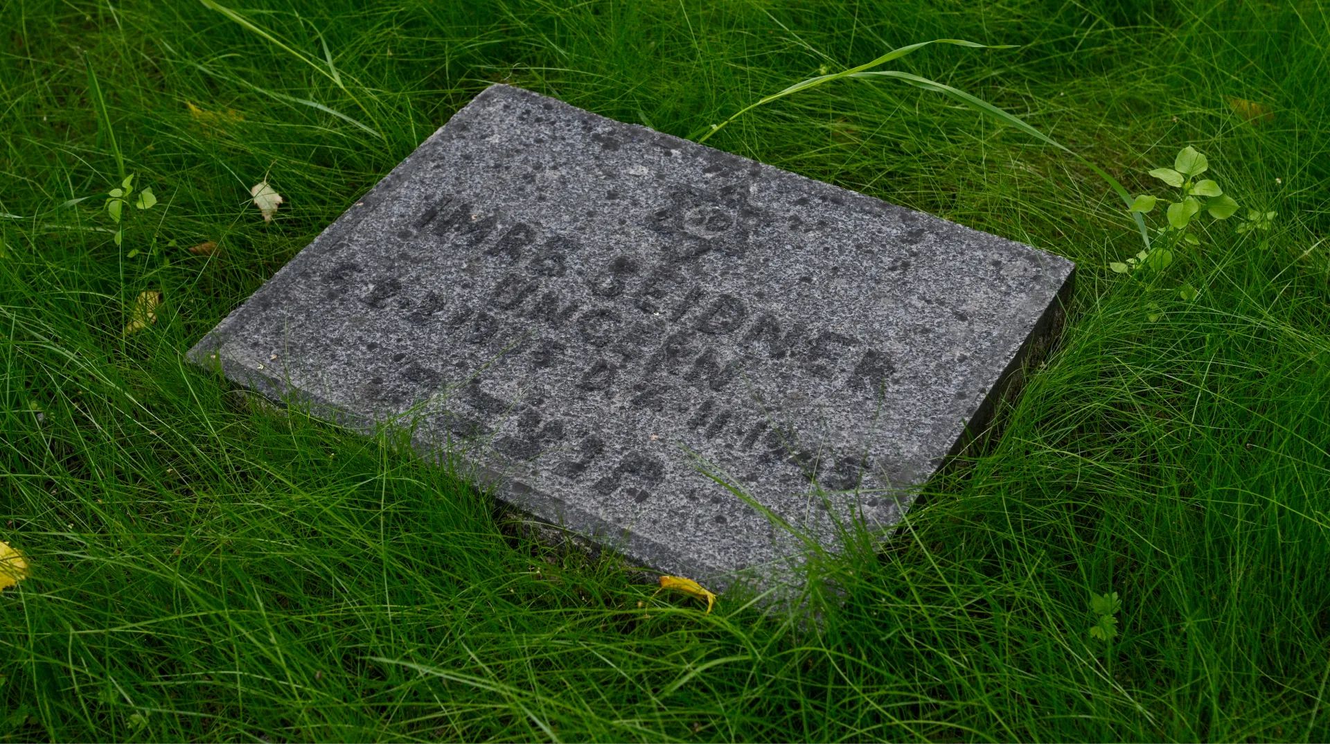 Imre Seidners gravsten.