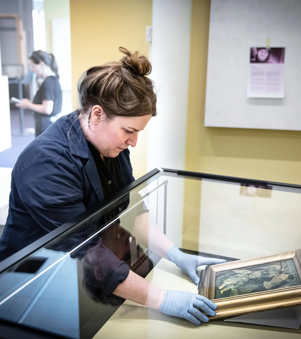 Konservator plockar in ett föremål i en monter.
